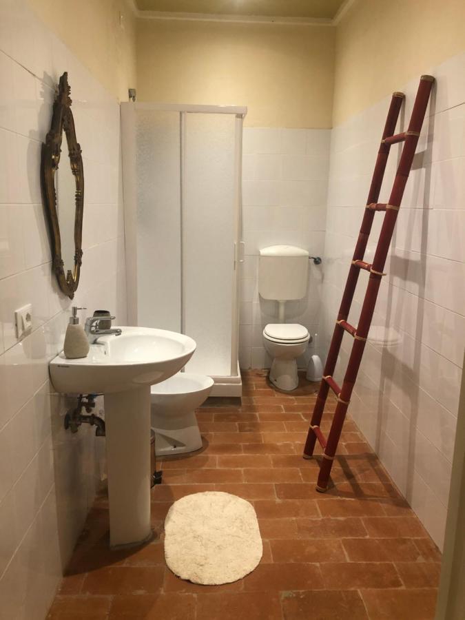 ברברינו די מוג'לו Podere Il Sasso מראה חיצוני תמונה